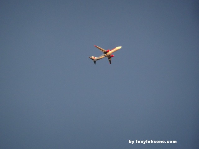 Lion air, my super-zoom worked really well